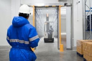 Cold Storage Solution - Dual Language Modernized Telnet Screens